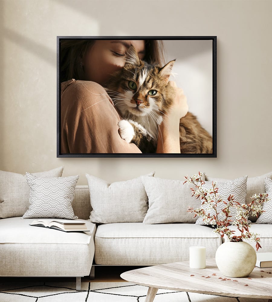 Image of a cat on canvas with floating frame
