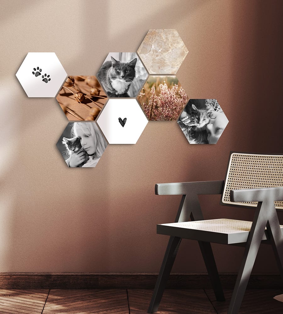Shapes with images of cats