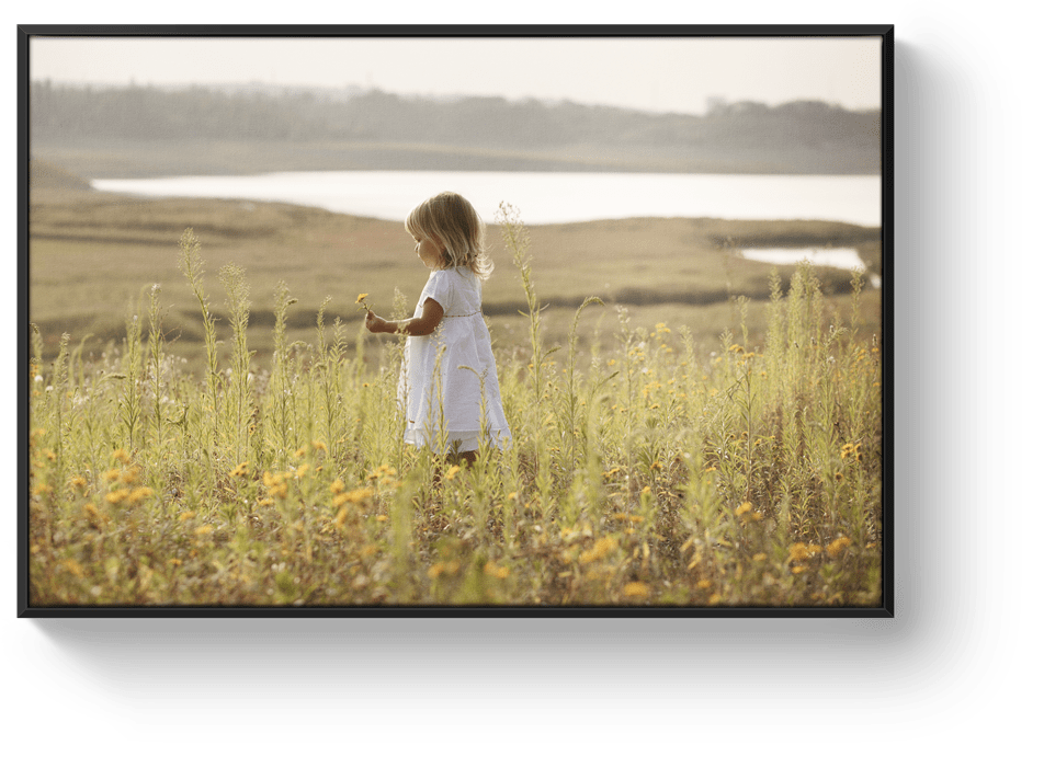 Canvas print black floating frame