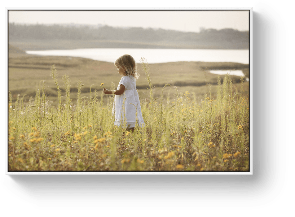 Canvas print white floating frame