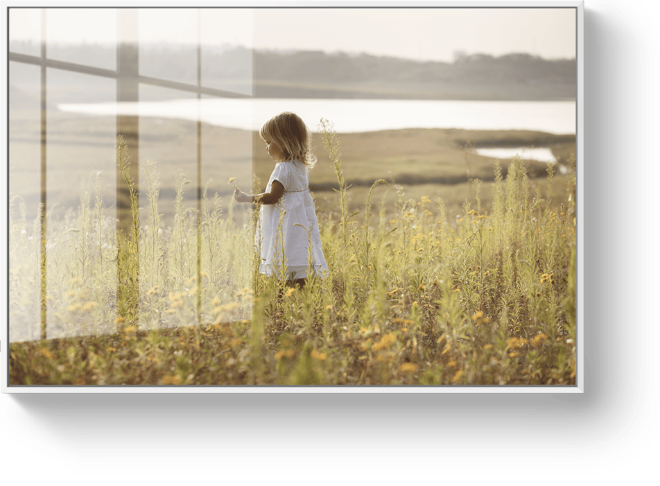 Photo on HD Metal with white floating frame