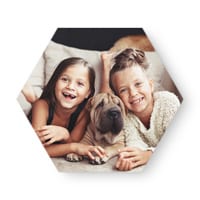 hexagon large
